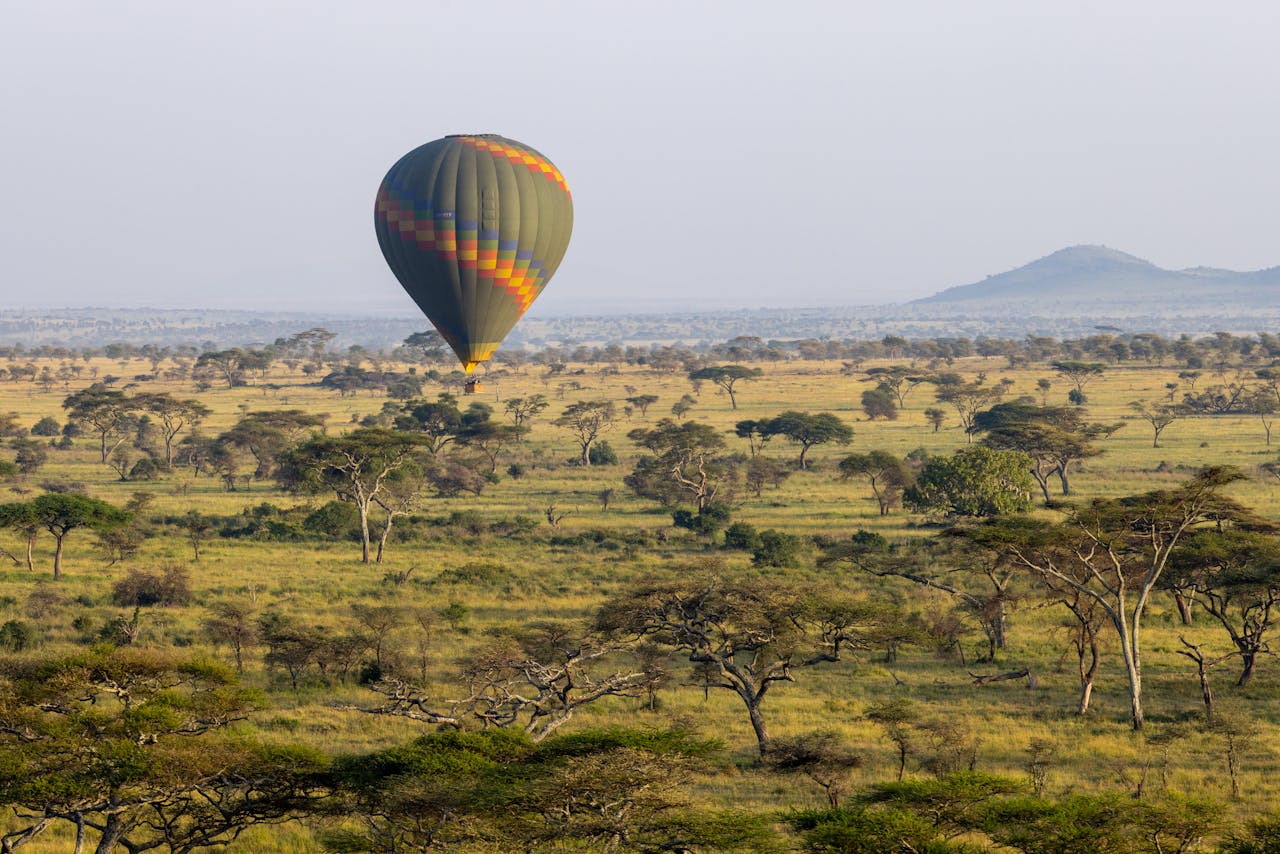 Balloon Safari