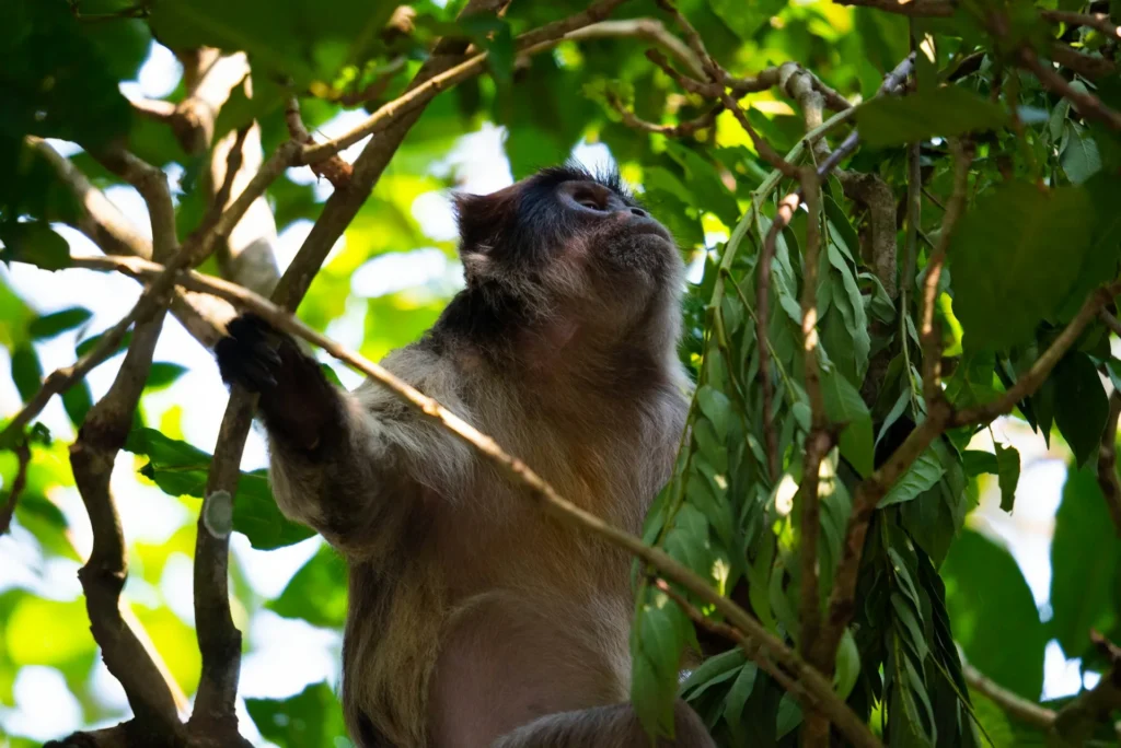 Arusha National Park
