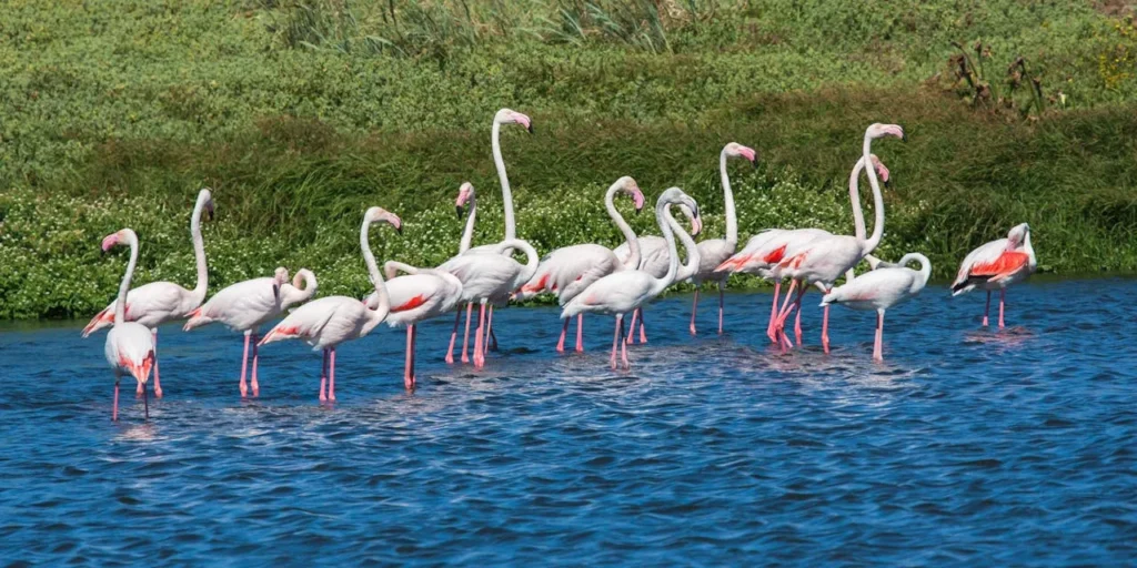 Lake Manyara National Park