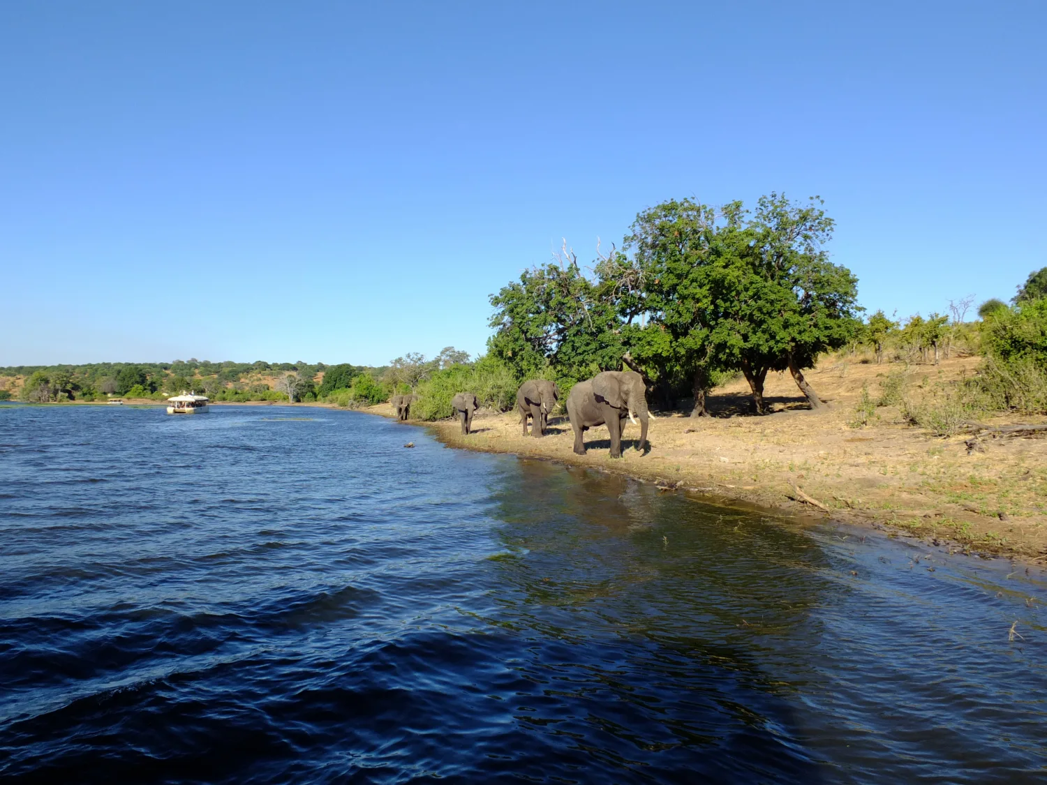 Ruaha Wilderness Day Safari