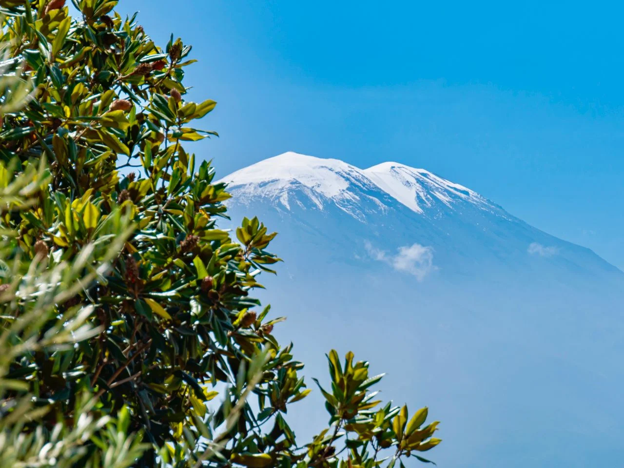 Mount Kilimanjaro Day Hike