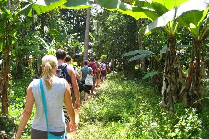 Zanzibar Spice Tour