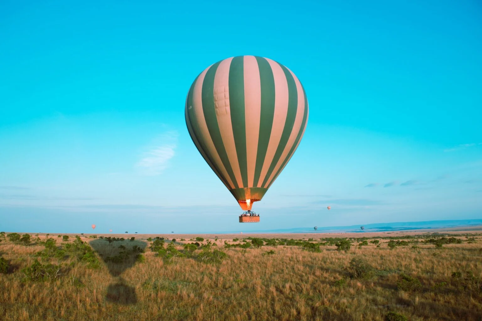 Balloon Safari