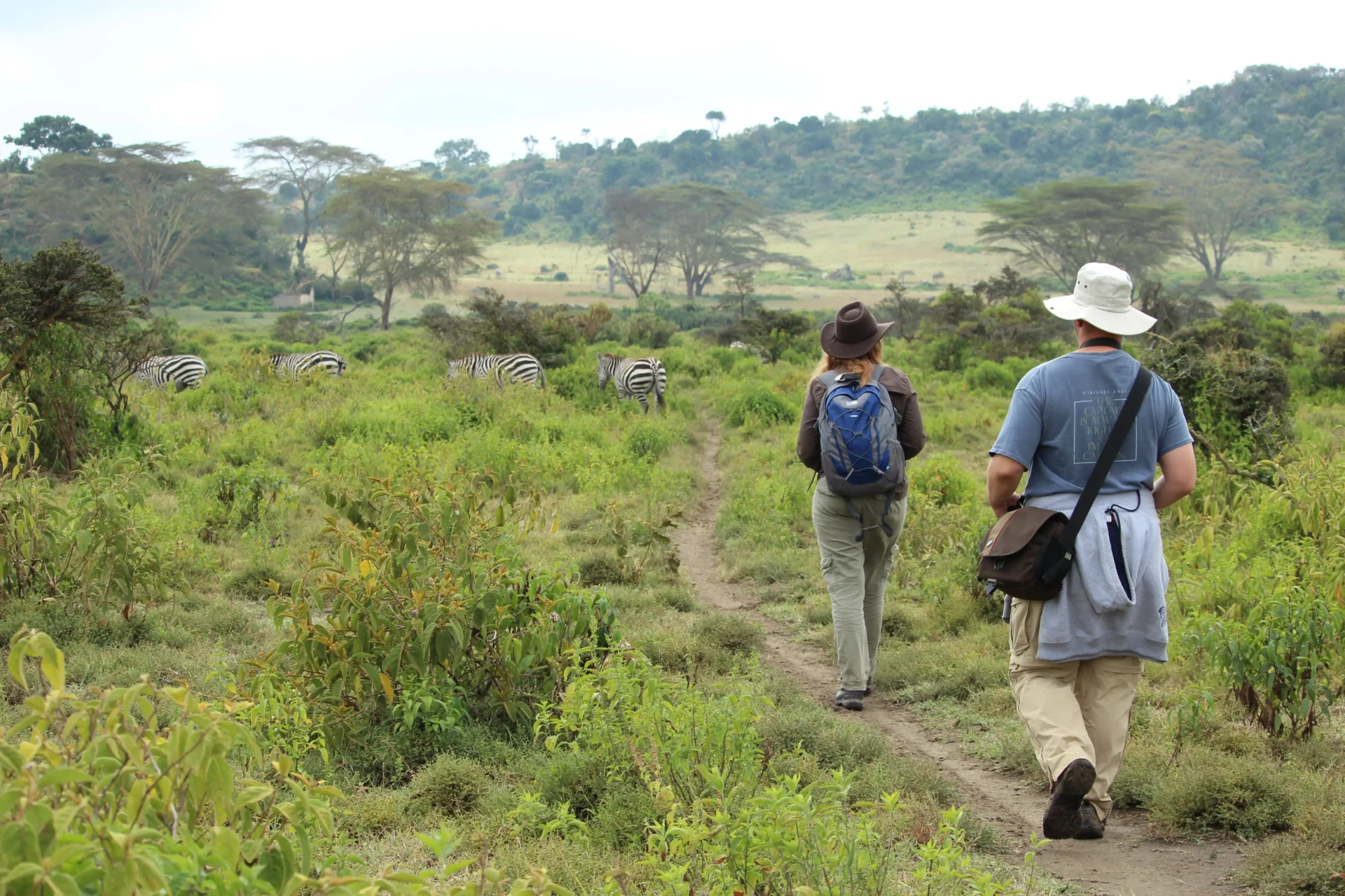 Walking Safari